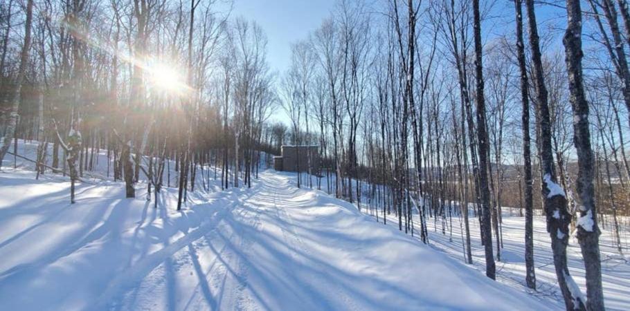 Chalet Serenity - Mont Tremblant Ski - Spa Sauna Wifi Tv Privet Chic Modern House Villa La Conception Eksteriør billede