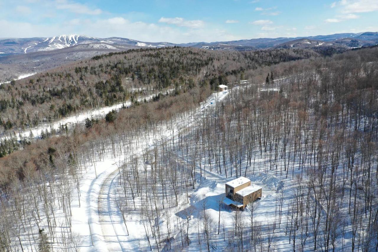 Chalet Serenity - Mont Tremblant Ski - Spa Sauna Wifi Tv Privet Chic Modern House Villa La Conception Eksteriør billede