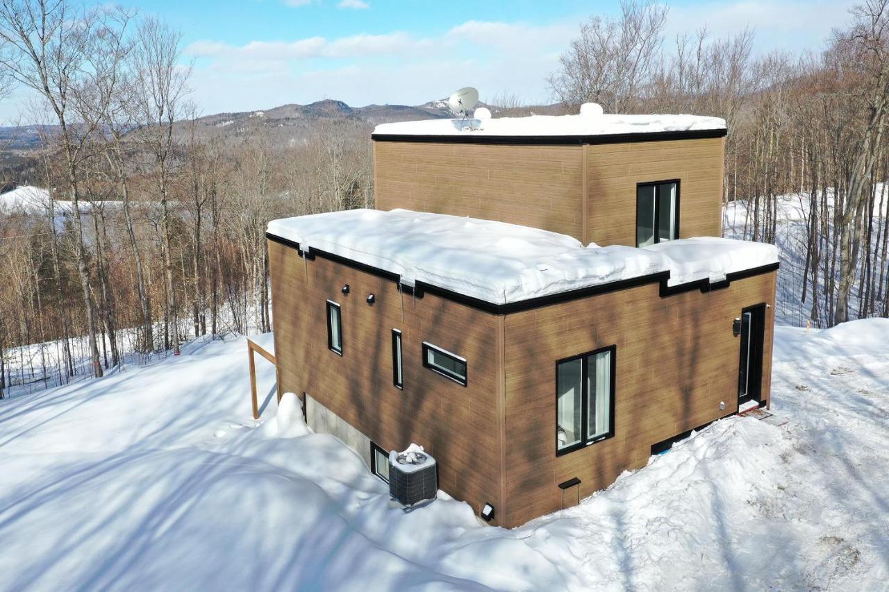 Chalet Serenity - Mont Tremblant Ski - Spa Sauna Wifi Tv Privet Chic Modern House Villa La Conception Eksteriør billede
